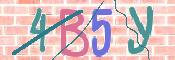 キャプチャ画像