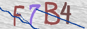 キャプチャ画像