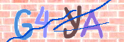 キャプチャ画像