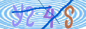 キャプチャ画像