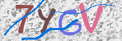 キャプチャ画像
