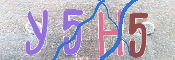 キャプチャ画像